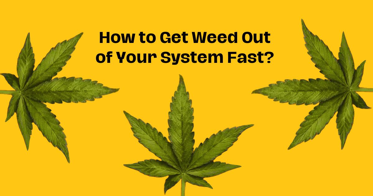 How to Get Weed Out of Your System Fast