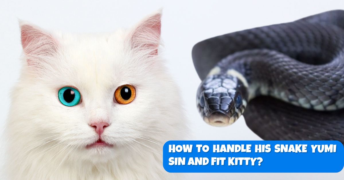 How to handle his snake yumi sin and fit kitty
